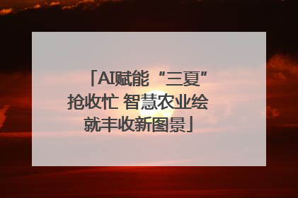 AI赋能“三夏”抢收忙 智慧农业绘就丰收新图景